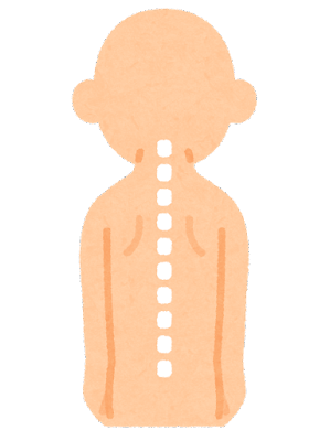 肩甲骨の重要性